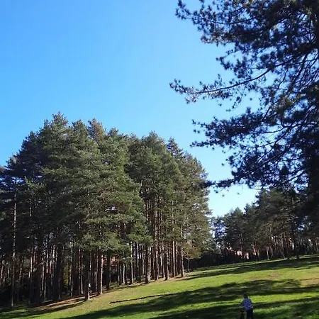 Apartmani Sloboda Zlatibor Exterior photo